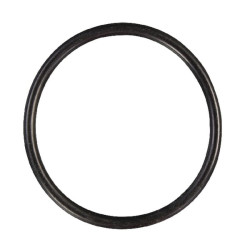 O formos žiedas 63x55x4 E06177ASM