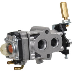 Karbiuratorius 1230540310