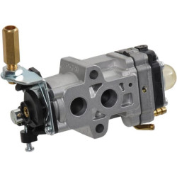 Karbiuratorius 1230540310