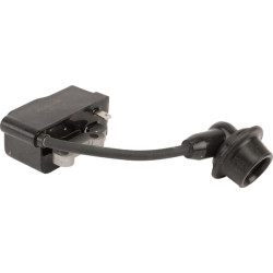 Uždegimo ritė, GGP 1188027430