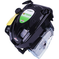 Variklis, vertikalus, 10,1 AG, ​​Etesia ET28467