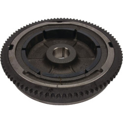 Smagratis - uždegimas ET18187