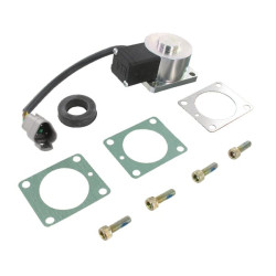 Vožtuvo solenoidas 12V 01660911