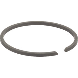 Stūmoklio žiedas 6686118