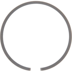 Stūmoklio žiedas 6684588