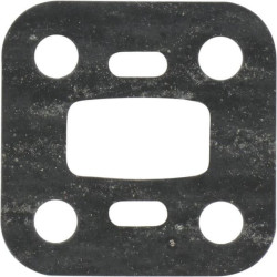 Karbiuratoriaus sandariklis 6699437