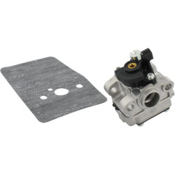 Karbiuratoriaus komplektas Wyl81 6690483