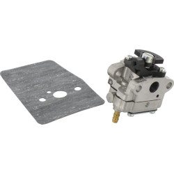 Karbiuratoriaus komplektas Wyl81 6690483