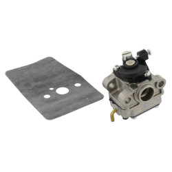 Karbiuratoriaus komplektas Wyl112 6690482