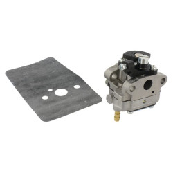 Karbiuratoriaus komplektas Wyl112 6690482