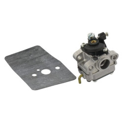 Karbiuratoriaus WYL120 komplektas 6690487