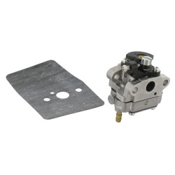 Karbiuratoriaus WYL120 komplektas 6690487