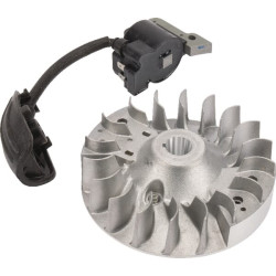 Uždegimo ritė, HiKOKI 790453