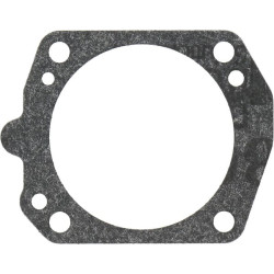 Diafragmos tarpinė 6690840