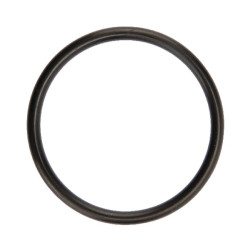 Guolio sandariklis L35608