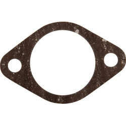 Duslintuvo tarpinė M113688