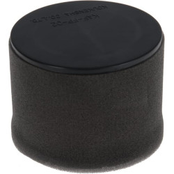 Oro filtras Kawasaki 110290032