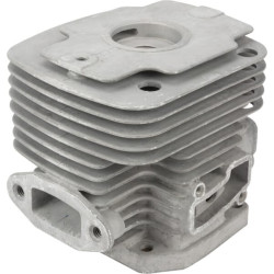 Cilindro variklis 110050609