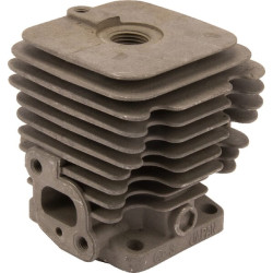 Variklio cilindras 110052155