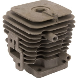 Variklio cilindras 110052155