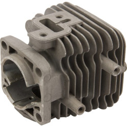 Variklio cilindras 110052155