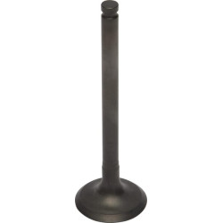 Išmetimo vožtuvas 120050793