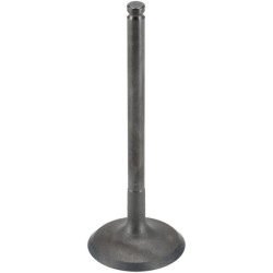 Įsiurbimo vožtuvas 120040733