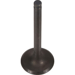 Įsiurbimo vožtuvas 120042084