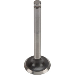 Išmetimo vožtuvas 120057006