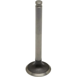 Išmetimo vožtuvas 120052107