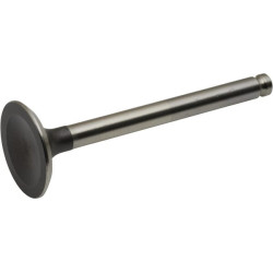 Išmetimo vožtuvas 120052107