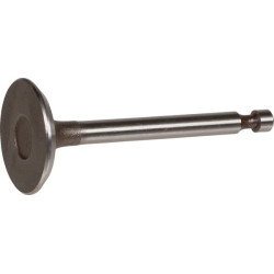 Įsiurbimo vožtuvas 120042101