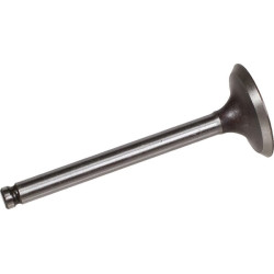 Įsiurbimo vožtuvas 120047005