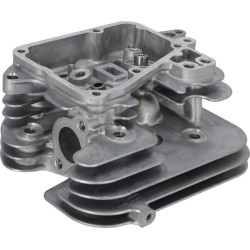 Cilindro galvutės komponentas 110087051