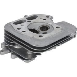 Cilindro galvutės komponentas 110087051