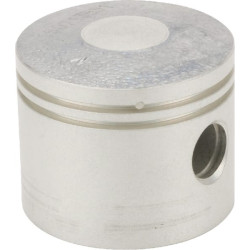 Stūmoklis 130010773