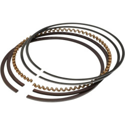 Stūmoklinių žiedų rinkinys 130080583