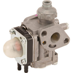 Karbiuratorius 150032935