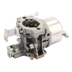 Karbiuratorius 150032009