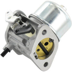 Karbiuratorius 150037061