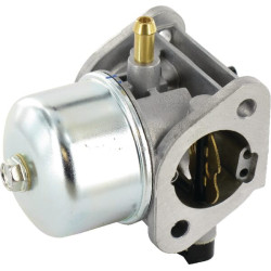 Karbiuratorius 150037061