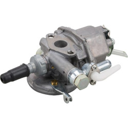 Karbiuratorius 150012297