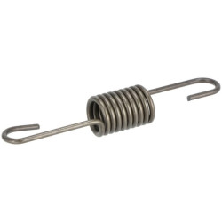 Reguliatoriaus spyruoklė 391297009