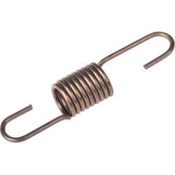 Reguliatoriaus spyruoklė 391297003