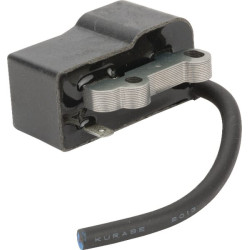 Uždegimo ritė, Kawasaki 211710708