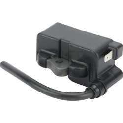 Uždegimo ritė, Kawasaki 211712241