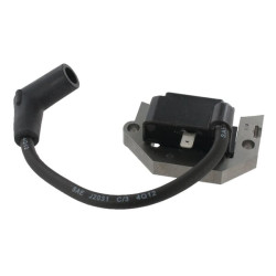 Uždegimo ritė, Kawasaki 211712267