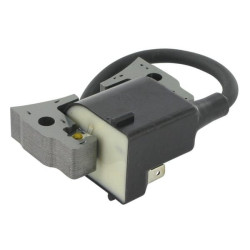 Uždegimo ritė, Kawasaki 211712200