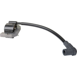 Uždegimo ritė, Kawasaki 211717034