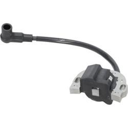 Uždegimo ritė, Kawasaki 211710758